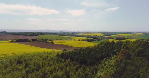 Latanie nad pięknymi drzewami leśnymi. Panorama krajobrazu. — Wideo stockowe