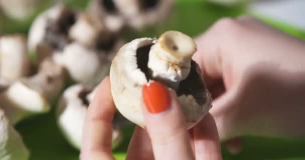 Rengöring av vild svamp med kökskniv — Stockvideo