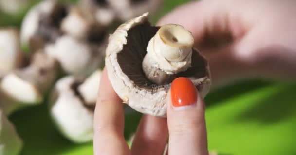 부엌용 칼로 야생 버섯을 청소하는 모습 — 비디오
