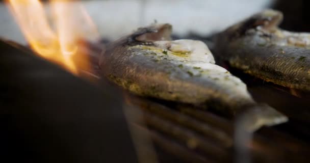 Vařit Grilování ryby v kuchyni — Stock video