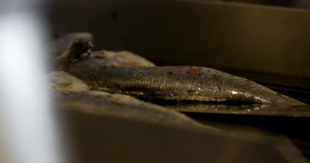 Vařit Grilování ryby v kuchyni — Stock video