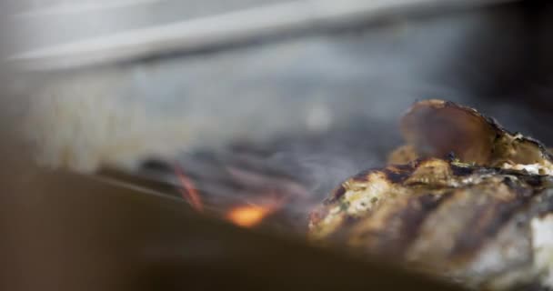 Cuisiner Griller le poisson dans la cuisine — Video