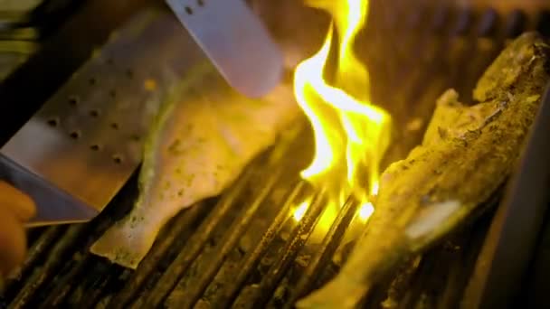 Cuoco Pesce alla griglia in cucina — Video Stock