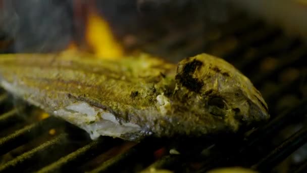 Cuisiner Griller le poisson dans la cuisine — Video