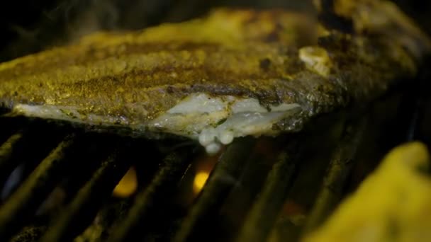 Cuisiner Griller le poisson dans la cuisine — Video