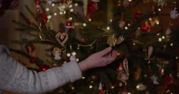 Γυναίκα Διακόσμηση χριστουγεννιάτικο δέντρο στο σπίτι — Αρχείο Βίντεο