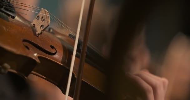 Musicien jouant du violon — Video