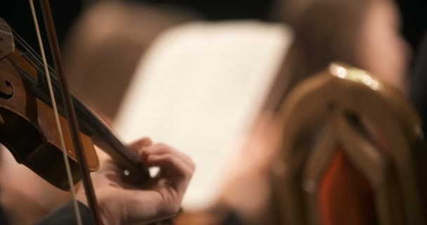 Музыкант играет на скрипке — стоковое видео