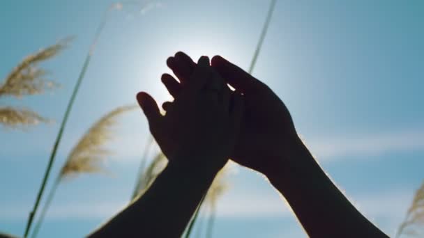 Junges Liebespaar hält Händchen gegen die Sonne — Stockvideo