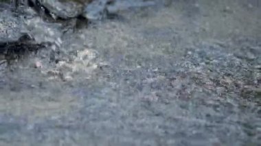 Nehir taşların üzerinden akar