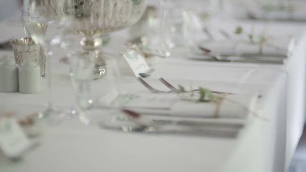 Cena, Romance, Boda Recepción, Fiesta — Vídeos de Stock