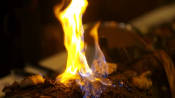 Cerdo preparado con llamas de fuego en la ceremonia de boda. — Vídeos de Stock