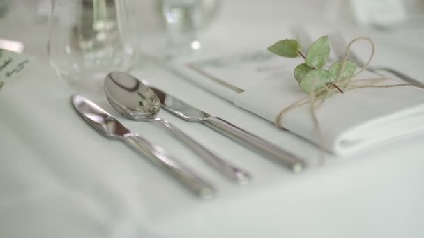 Cena, Romance, Boda Recepción, Fiesta — Vídeo de stock