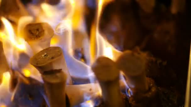 Cerdo preparado con llamas de fuego en la ceremonia de boda. — Vídeos de Stock