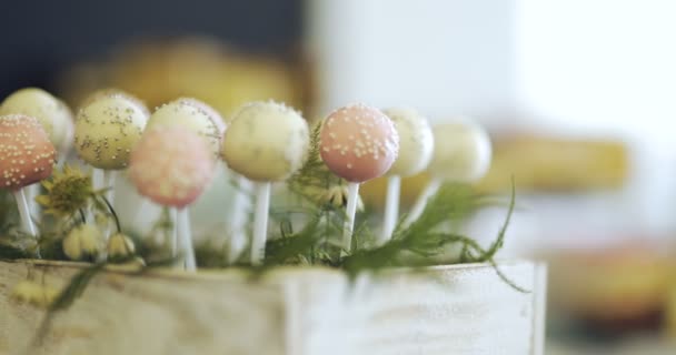 婚礼上的装饰糖果 — 图库视频影像