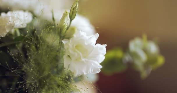 Flowers on table - beautiful flowers. — Stock Video