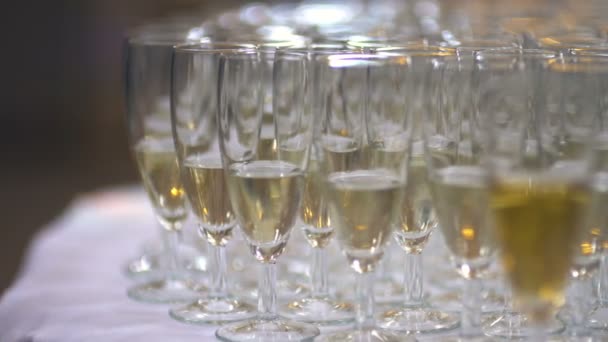 Champagne. veel champagnefluiten met sprankelende champagne — Stockvideo