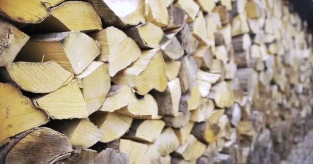 Um monte de troncos de árvores cortadas. Madeira pronta para fumar. — Vídeo de Stock