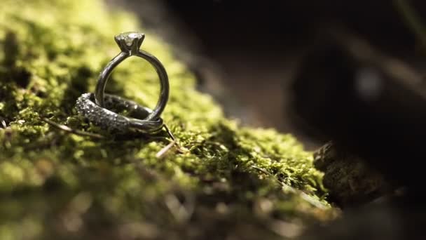 Wedding rings on green moss — Stock Video