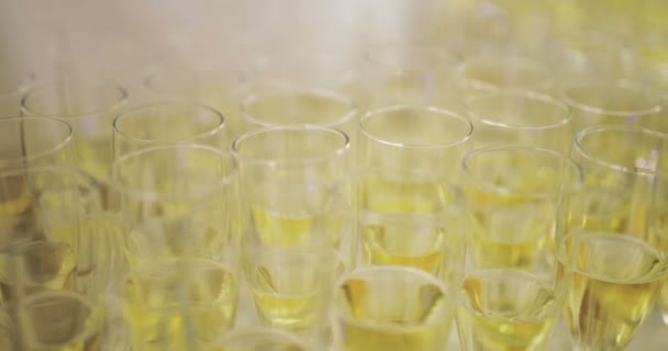 Szampan. wiele flet szampana z musującym szampanem — Wideo stockowe