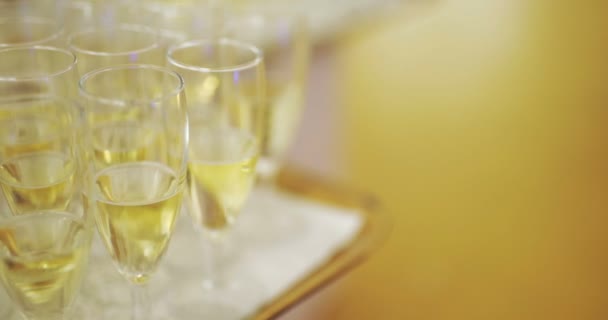 Champagner. viele Champagner-Flöten mit Sekt — Stockvideo