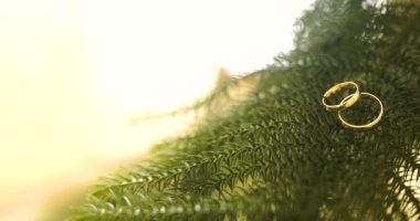 Gelin aksesuarında alyanslar