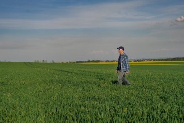 Modern Çiftçi Araştırmacı Tarım Alanında Dijital Tablet Kullanıyor. Çiftçi buğday tarlasını inceliyor.