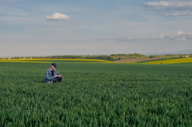 Tarım Alanındaki Ürünleri İnceleyen Başarılı Çiftçi portresi. Çiftçi Buğday Tarlasına Bakıyor