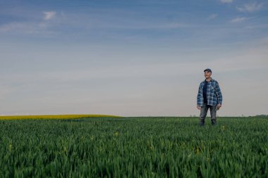 Tarım Alanındaki Ürünleri İnceleyen Başarılı Çiftçi portresi. Çiftçi Buğday Tarlasına Bakıyor
