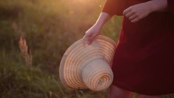 Portret van een positieve glimlachende vrouw die in de camera kijkt bij zonsondergang — Stockvideo