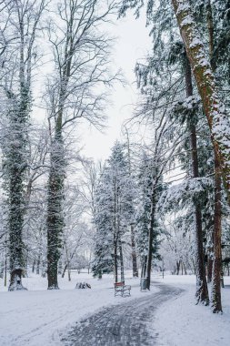Kış sokağı Cnow 'la kaplıydı.