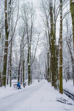 Kış sokağı Cnow 'la kaplıydı.
