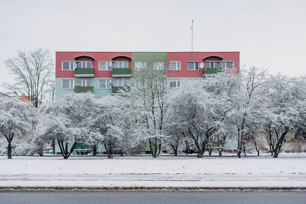 Winter in the City. Tree Covered with Snow in Winter.