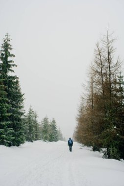 Kışın dağlarda yürüyüş yapan yürüyüşçü.