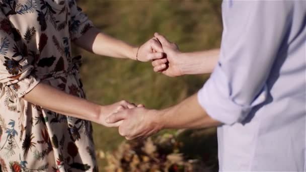 Casal jovem Caminhando em um prado. Positivo Jovem Poeple Felicidade. — Vídeo de Stock