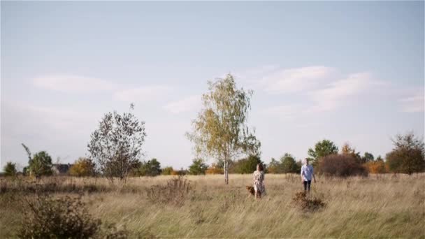 Jeune couple marchant sur une prairie. Bonheur positif des jeunes peupliers. — Video