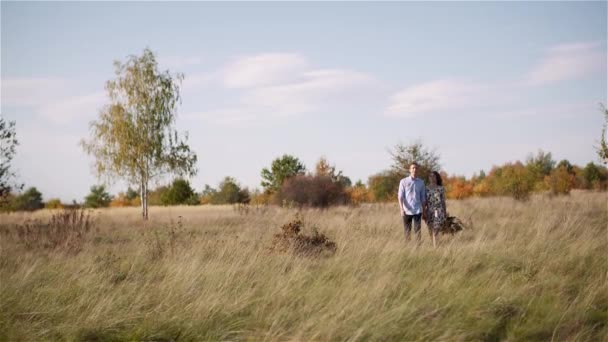 Молодая пара, гуляющая по лугу. Позитивное молодое человеческое счастье. — стоковое видео