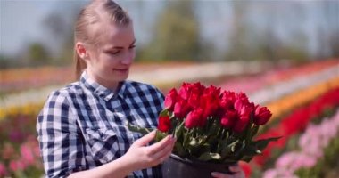 Lale tarlasında yürürken elinde lale buketi tutan kadın.