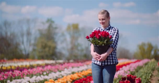 チューリップ畑を歩きながら手にチューリップの花束を保持女性 — ストック動画