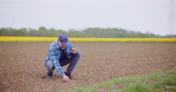 Agrónomo examinando cultivos y utilizando tableta digital en el campo — Vídeo de stock