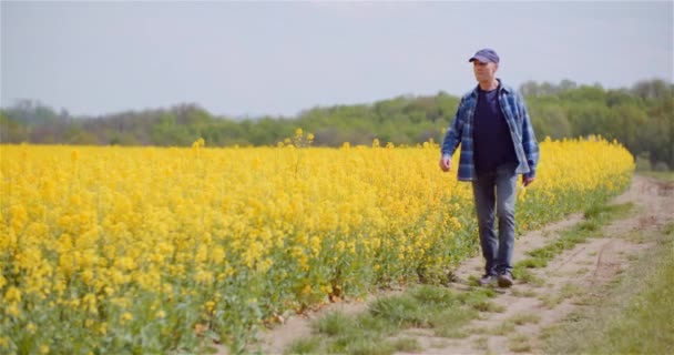 Farmer Walking on Agriculture Field Examining Crops — Video