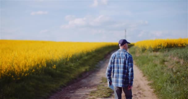 Nöjd bonde promenader och titta på grödor på jordbruksfältet — Stockvideo