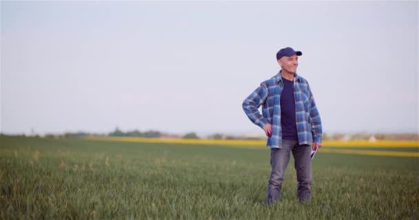 Zadowolony mężczyzna Agronomist Gesturing On Field — Wideo stockowe