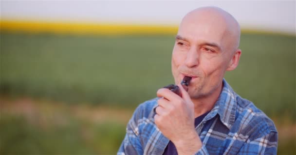 Produtor Careca Contentado Fumando Seu Tubo Em Campo — Vídeo de Stock