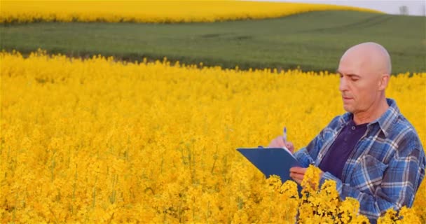 Agricultura Granjero Escribir en portapapeles mientras se examina el campo agrícola — Vídeo de stock