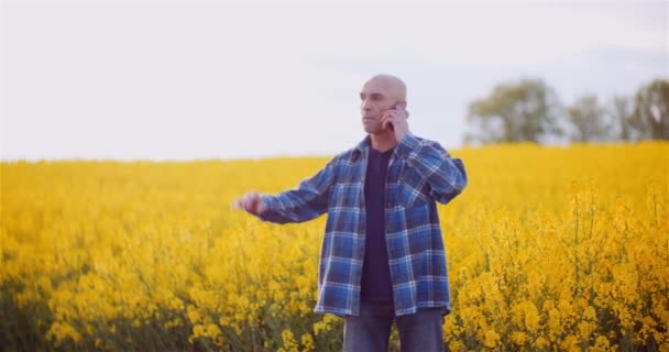 Homme agronome en colère parlant par téléphone portable sur le champ de colza — Video