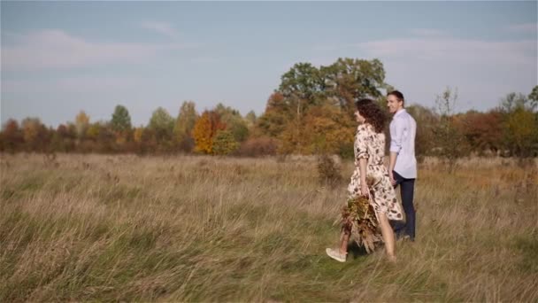 Pareja enamorada caminando y sosteniendo las manos — Vídeos de Stock