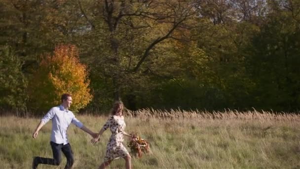 Positief jong gelukkig liefhebbend paar wandelen op weide in de zomer — Stockvideo