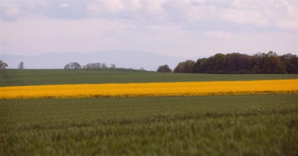 Zemědělská krajina - pohled na různá zemědělská pole — Stock video