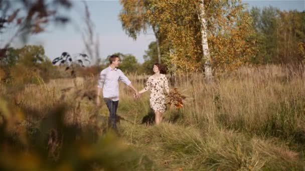 Пара в любові, яка ходить і тримає руки — стокове відео